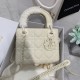 DIOR 디올 가방 하이퀄리티 230222060